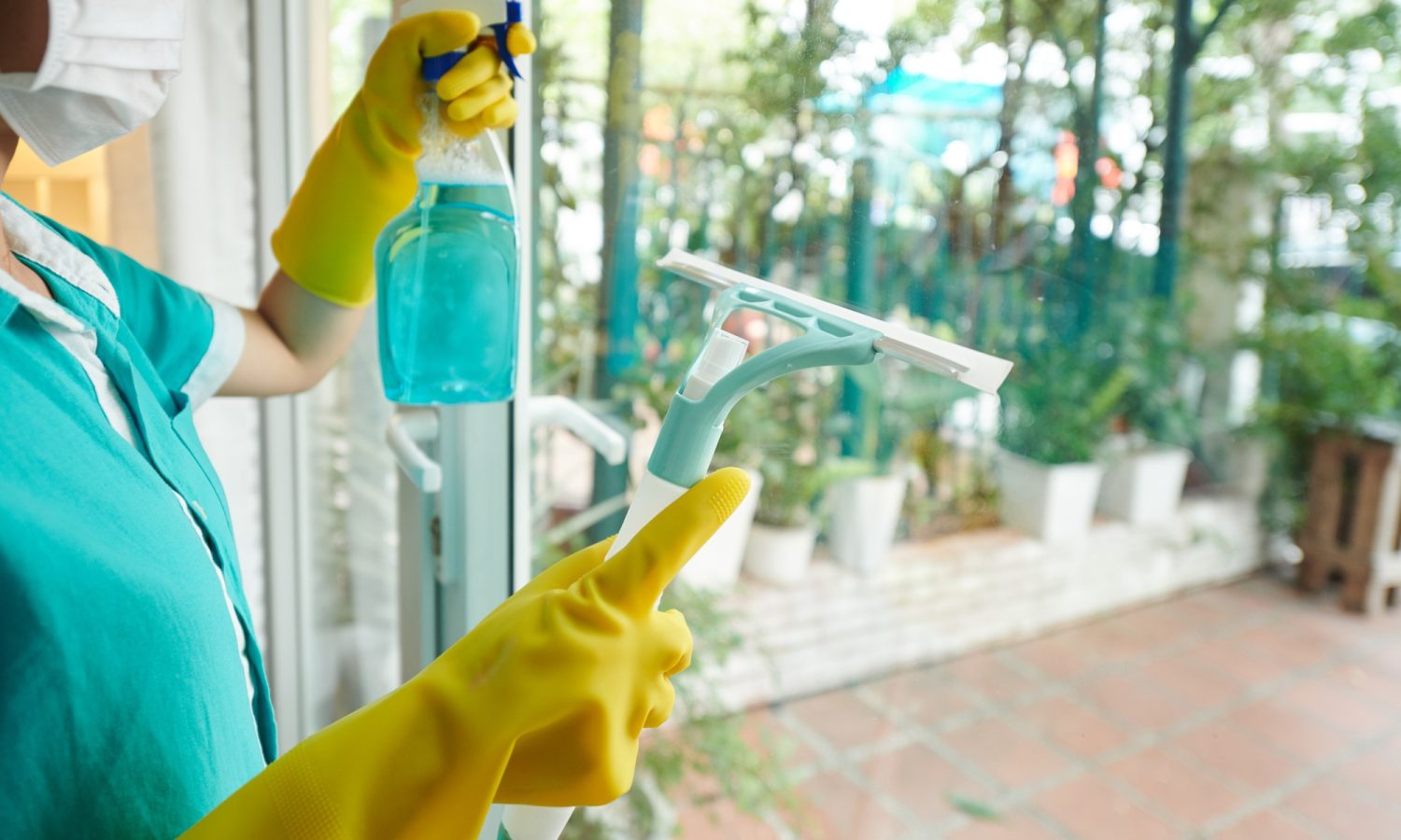 Professional Window Cleaning